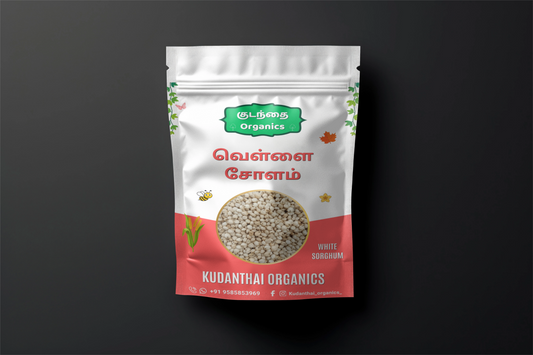 WHITE CHOLAM(வெள்ளை சோளம்)